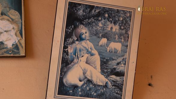 A portrait of Krishna grazing cows and playing the flute is hanging on a wall in Shri Bhatraund Bihari Temple, Vrindavan.