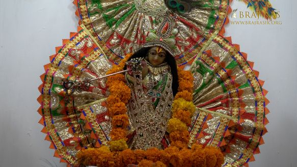 Close darshan of Shri Bhatraund Bihari Ji in Shri Bhatraund Bihari Temple, Vrindavan.