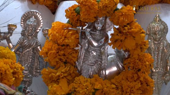 Darshan of Krishna in Shri Bhatraund Bihari Temple, Vrindavan.