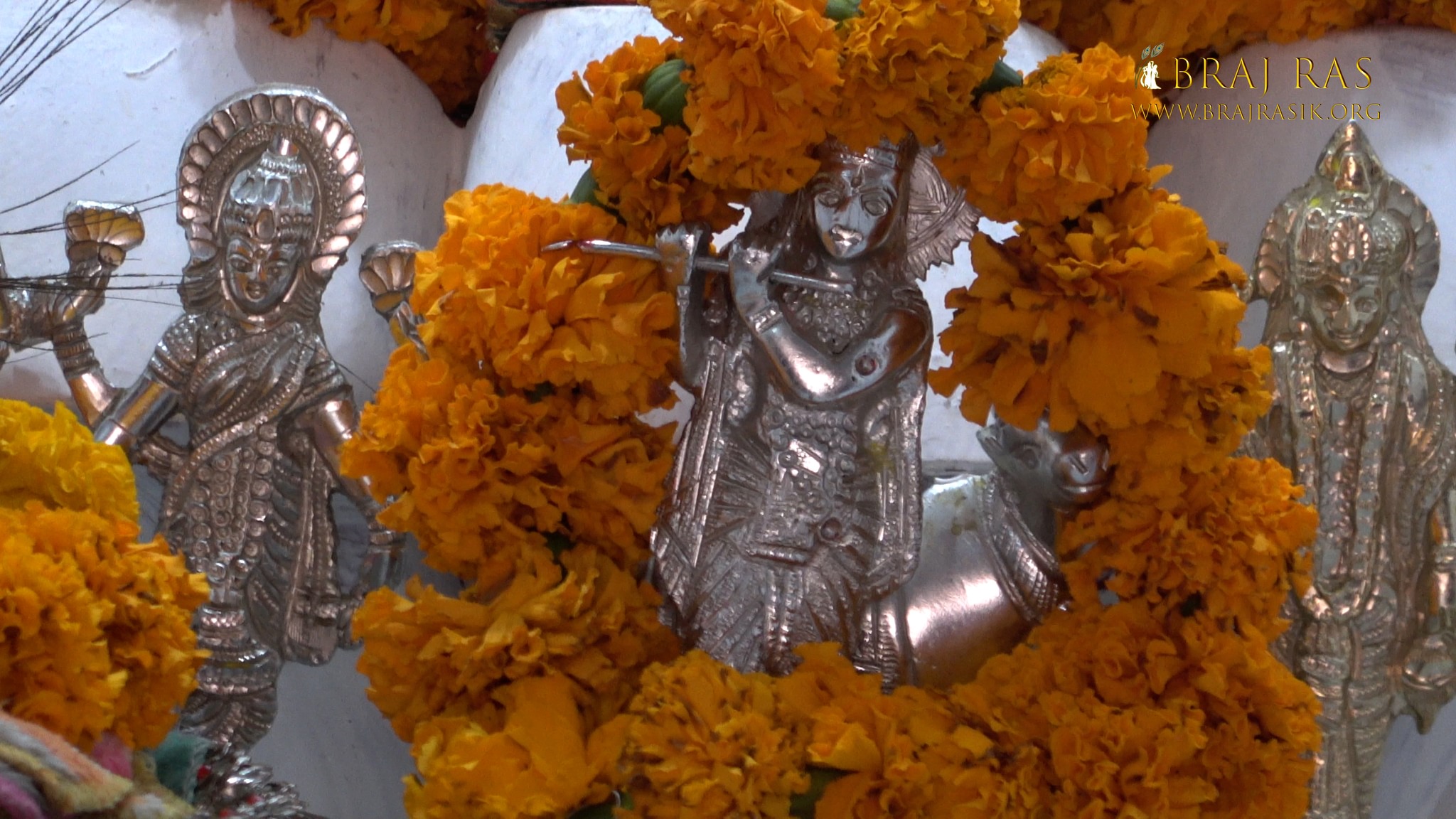 Darshan of Krishna in Shri Bhatraund Bihari Temple, Vrindavan.