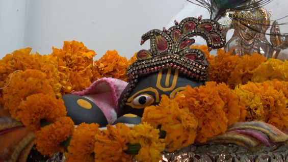 Darshan of Lord Shaligram in Shri Bhatraund Bihari Temple, Vrindavan.