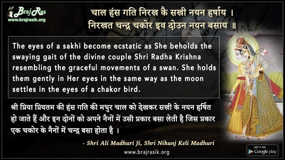 Chaal Hans Gati Nirakh Kai Sakhi Nayan - Shri Ali Madhuri Ji, Shri Nikunj Keli Madhuri, Shrinikunj Prakash Ashtayam Mansi Sewa (82)