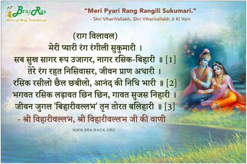 Meri Pyari Rang Rangili Sukumari - Shri Viharivallabh Ji Ki Vani