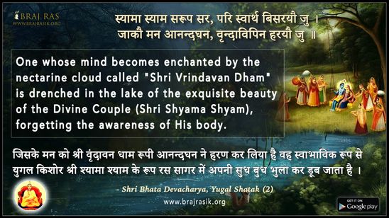 स्यामा स्याम सरूप सर परि स्वार्थ बिसरयौ जु - श्री भट्ट देवाचार्य, युगल शतक (2)