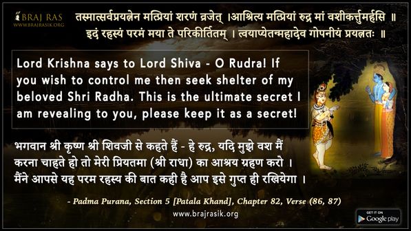 तस्मात्सर्वप्रयत्नेन मत्प्रियां शरणं व्रजेत् - पद्म पुराण, पाताल खंड (82.86)