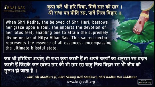 कृपा करैं श्री हरि प्रिया - श्री अली माधुरी, श्री निकुंज केलि माधुरी, श्री राधा रस सिद्धांत (4)