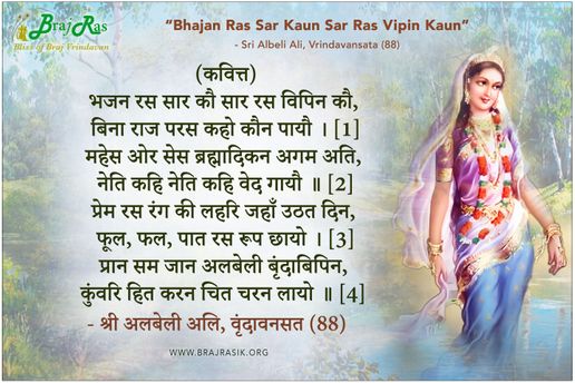 भजन रस सार कौ सार रस विपिन कौ - श्री अलबेली अलि, वृंदावनसत (88)