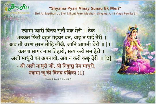Shyama Pyari Vinay Sunau Ek Meri - Shri Ali Madhuri Ji, Shri Nikunj Keli Madhuri, Shyama Ju Ki Vinay Patrika (1)