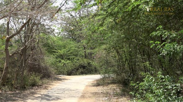 The beautiful way towards Soor Kuti, Runkata.