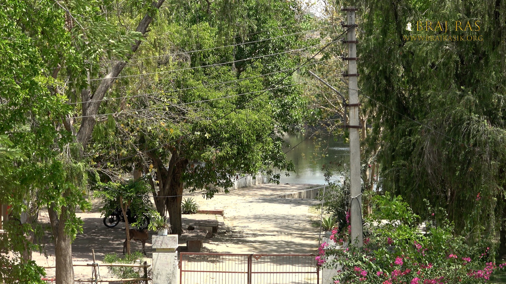 View of a Gau Ghat on the banks of the Yamuna at Keetham.