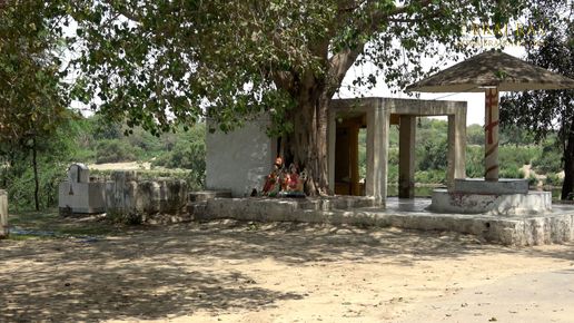 View of a temple at Soor Kuti, Runkata.
