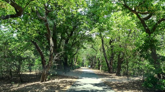 Way to Soor Kuti, Runkata.