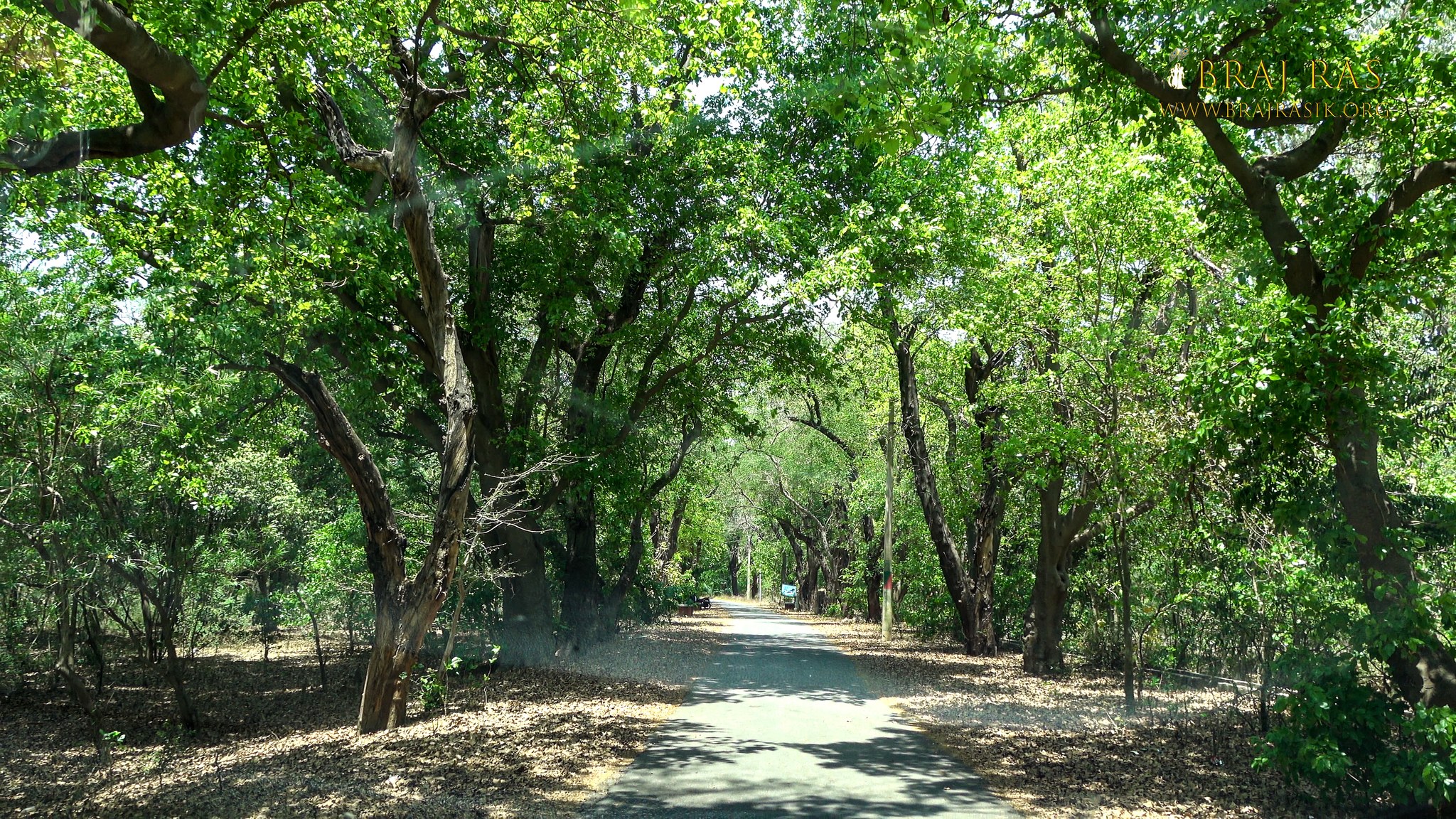 Way to Soor Kuti, Runkata.