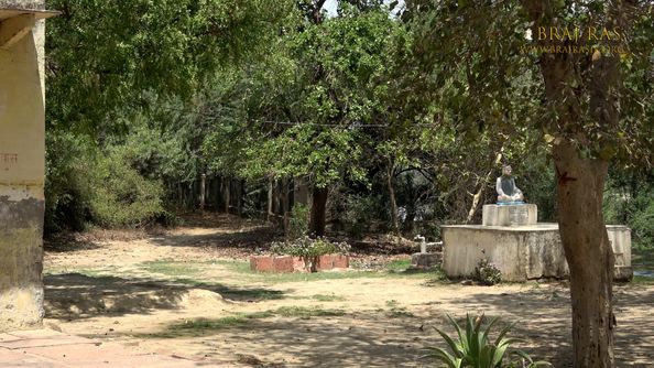 forest view at Soor Kuti, Runkata.
