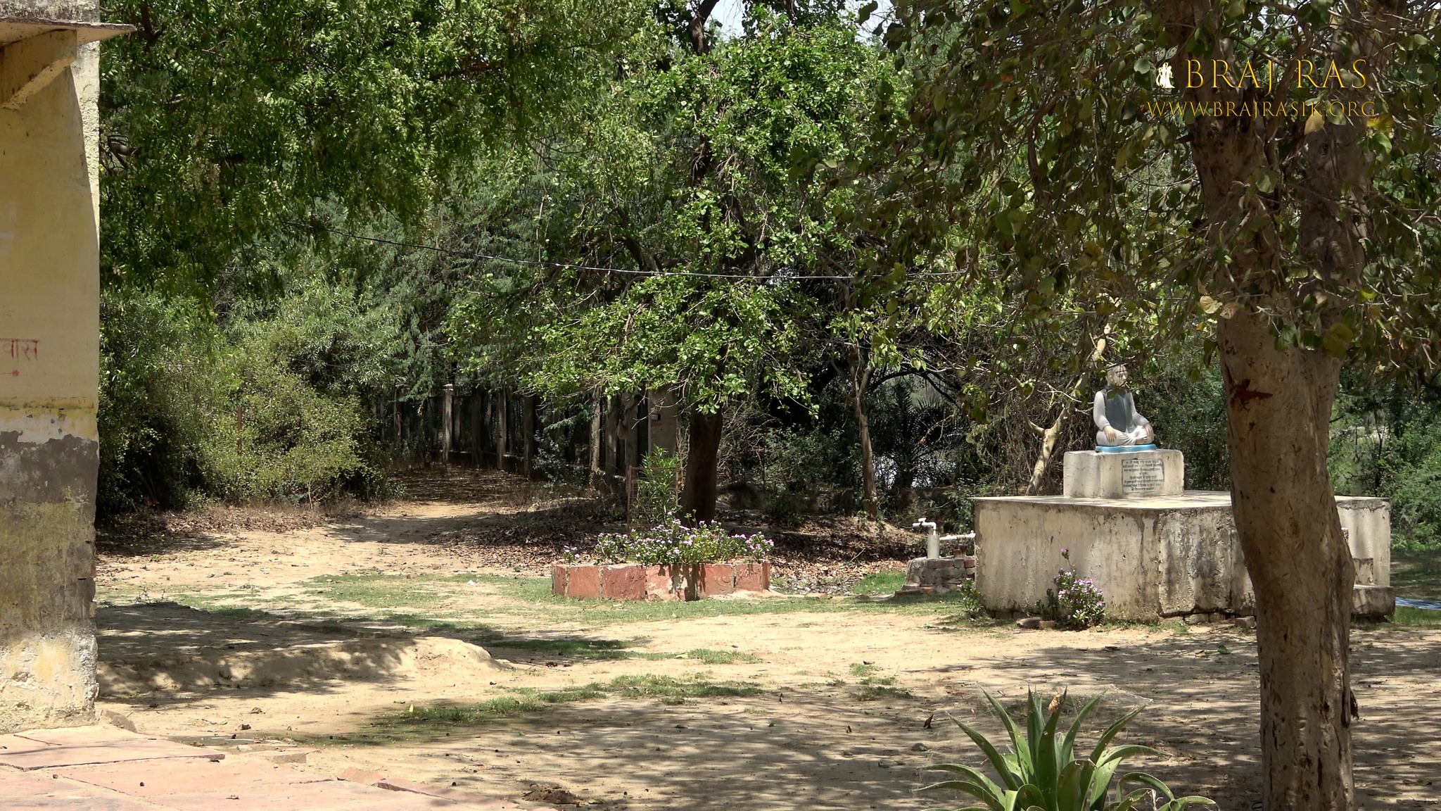 forest view at Soor Kuti, Runkata.