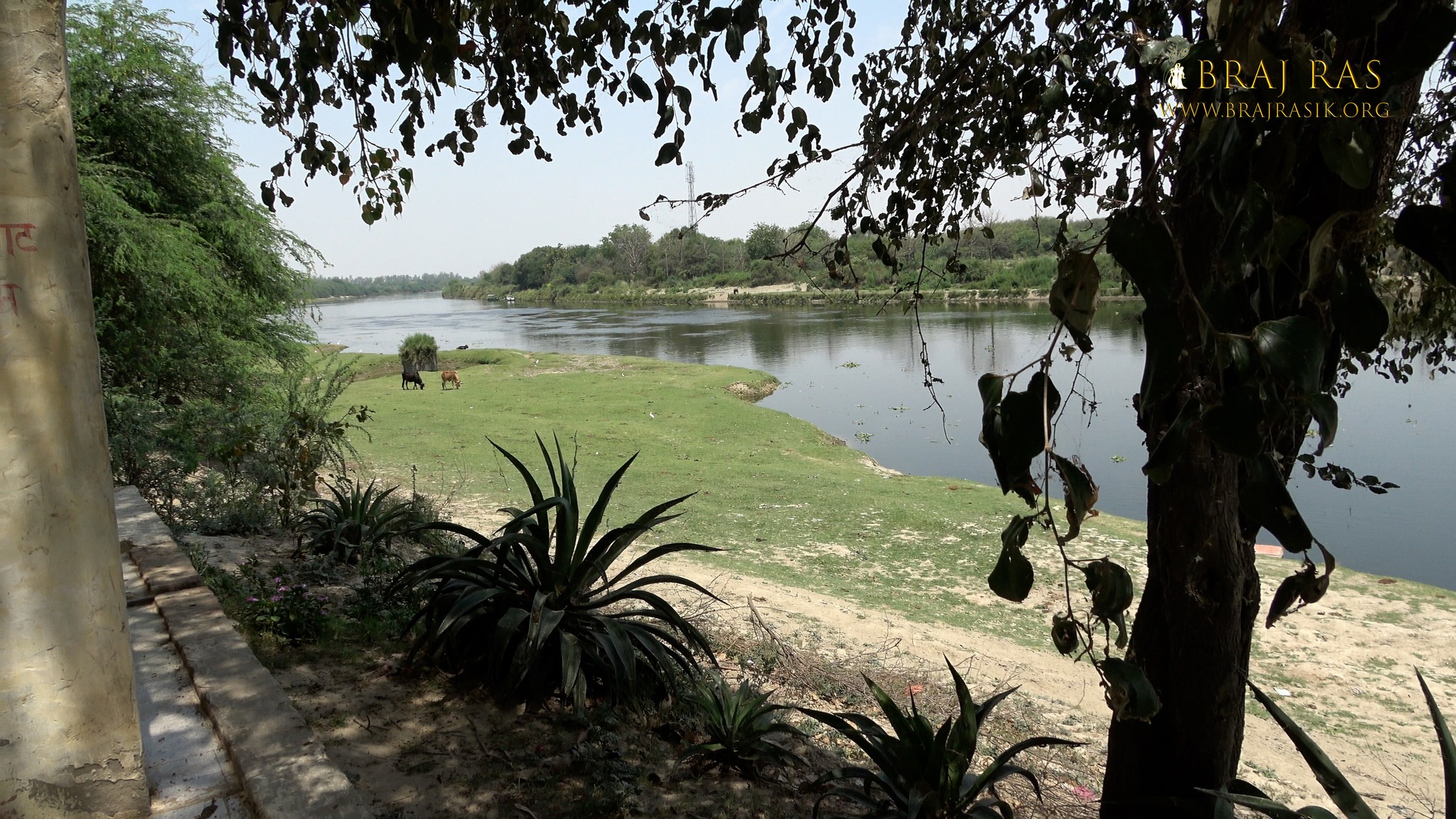 View of Yamuna flowing near Soor Kuti, Runkata.