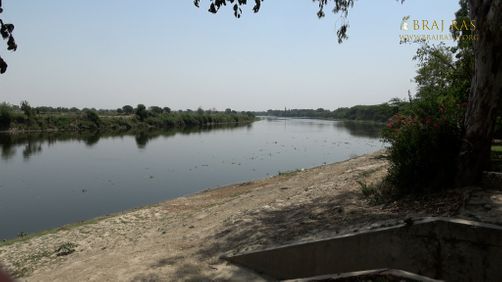 Darshan of Yamuna flowing near Soor Kuti, Runkata.