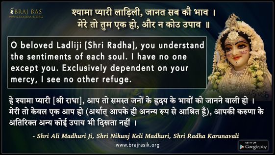 Syama Pyari Ladlili Jaanat Sab Kau Bhaav- Ali Madhuri Ji, Shri Nikunj Keli Madhuri, Shri Radha Karunavali (7)