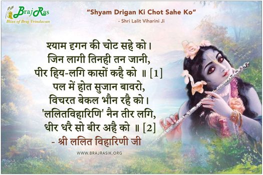 श्याम दृगन की चोट सहे को - श्री ललित विहारिणी जी