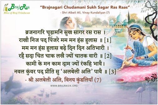 Brajnagari Chudamani Sukh Sagar Ras Raas - Shri Albeli Ali, Vinay Kundaliyan (7)