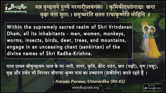 यत्र वृन्दावने पुण्ये - नारदपुराण, उत्तरार्धः (80.82)