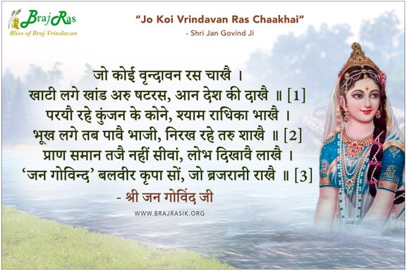 जो कोई वृन्दावन रस चाखै - श्री जन गोविंद जी