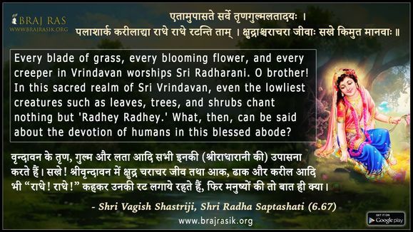 Palasarka Kariladya Radhe Radhey Ratantanti Tam - Shri Vagish Shastriji, Shri Radha Saptashati (6.67)