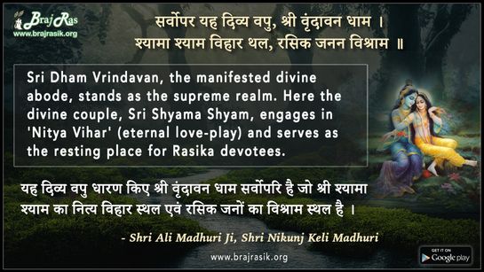 सर्वोपर यह दिव्य वपु, श्री वृंदावन धाम - श्री अली माधुरी जी, श्री निकुंज केलि माधुरी, रासोत्सव लीला (24)