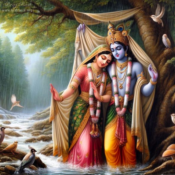 The divine couple, Shri Shyama Shyam, finds shelter beneath a cloth canopy amidst the rainfall. 