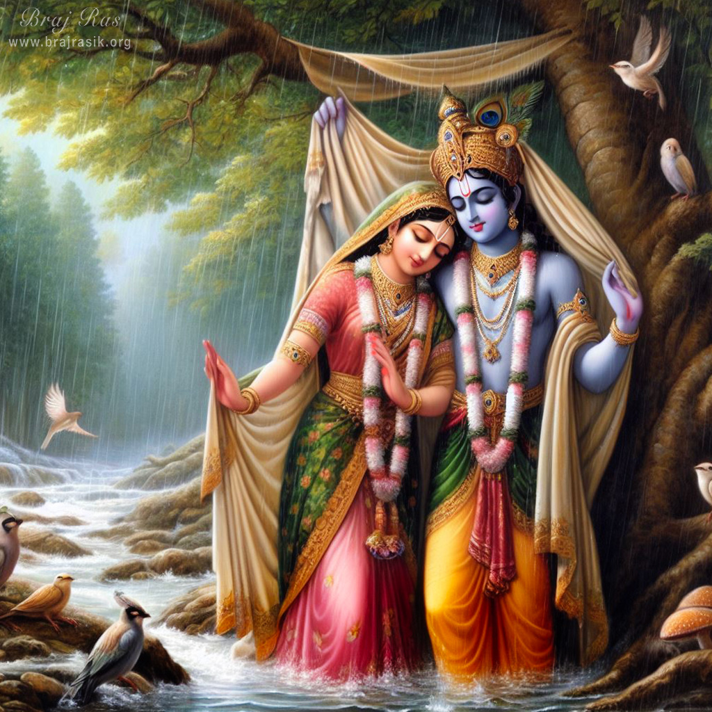 The divine couple, Shri Shyama Shyam, finds shelter beneath a cloth canopy amidst the rainfall. 