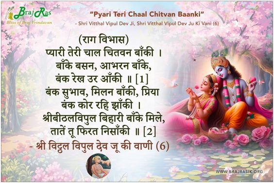प्यारी तेरी चाल चितवन बाँकी - श्री विट्ठल विपुल देव जू की वाणी (6)