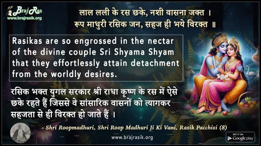 लाल लली के रस छके नशी वासना जक्त  - श्री रूप माधुरी, श्री रूप माधुरी जी की वाणी, रसिक पच्चीसी (8)