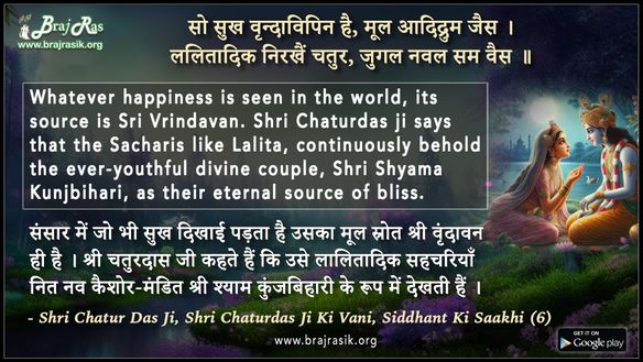 सो सुख वृन्दाविपिन है मूल आदिद्रुम जैस - श्री चतुर दास जी की वाणी, सिद्धांत की साखी (6)