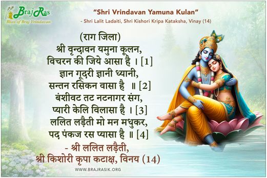 Shri Vrindavan Yamuna Kulan - Shri Lalit Ladaiti, Shri Kishori Kripa Kataksha, Vinay (14)