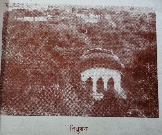 Old photo of Nidhivan in Vrindavan.