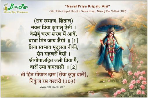 नवल प्रिया कृपालू ऐसी - श्री हित गोपाल दास [सेवा कुञ्ज वाले], निकुंज रस वल्लरी (103)