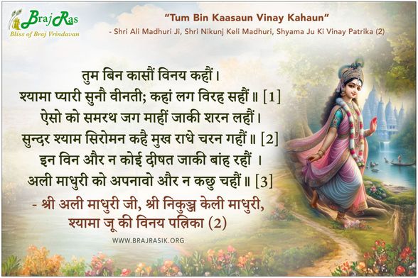 तुम बिन कासौं विनय कहौं - श्री अली माधुरी जी, श्री निकुञ्ज केली माधुरी, श्यामा जू की विनय पत्रिका (2)
