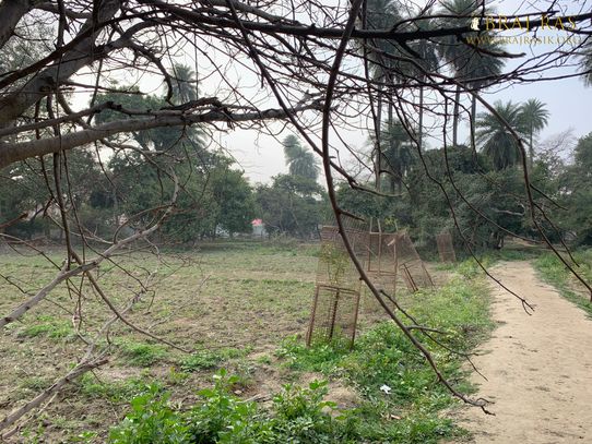 View of a path and field in Shri Lalita Bagh, Vrindavan.