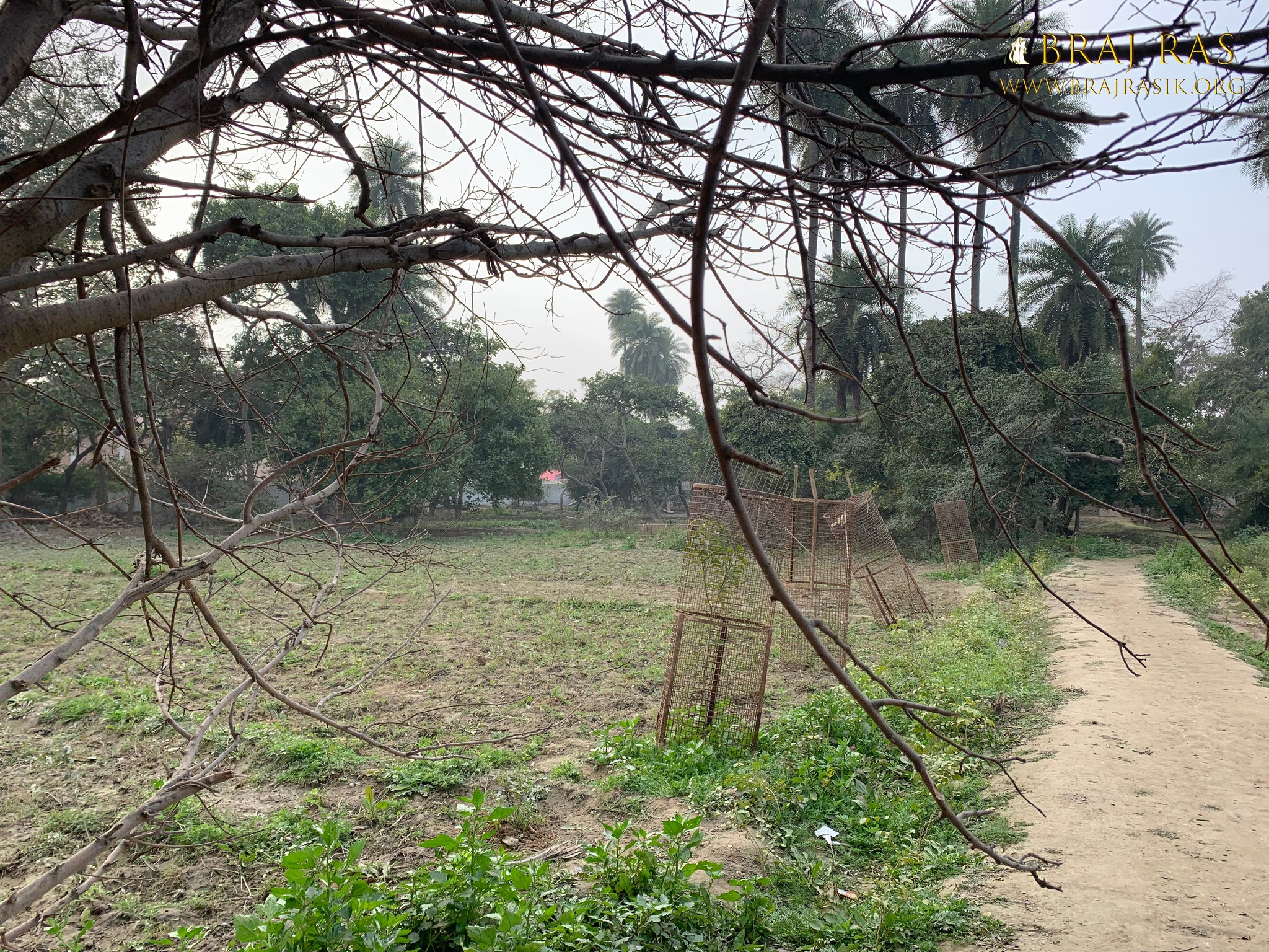 View of a path and field in Shri Lalita Bagh, Vrindavan.