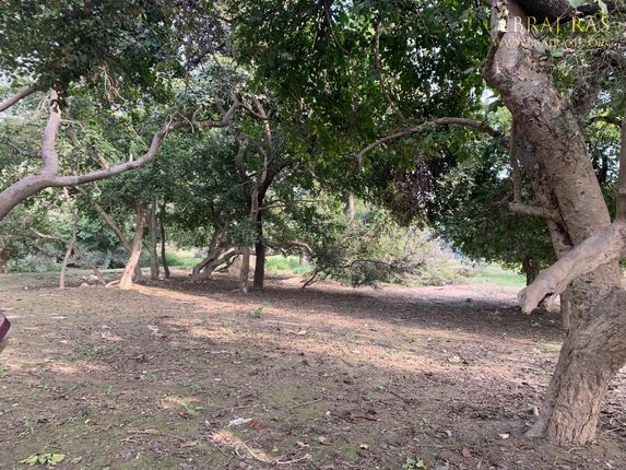 View of a beautiful garden in Shri Lalita Bagh, Vrindavan.
