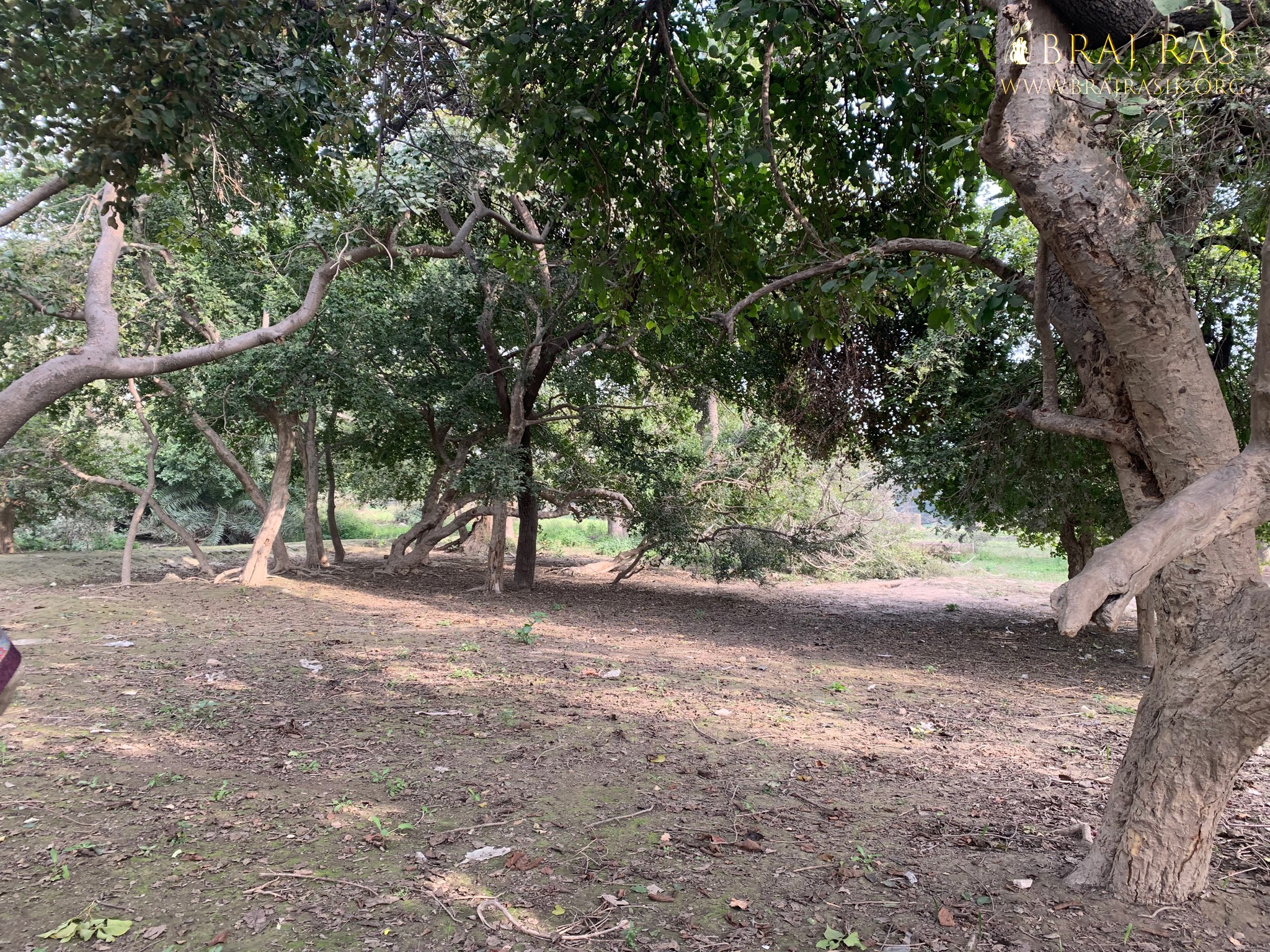 View of a beautiful garden in Shri Lalita Bagh, Vrindavan.