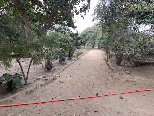 View of a beautiful path in Shri Lalita Bagh, Vrindavan.