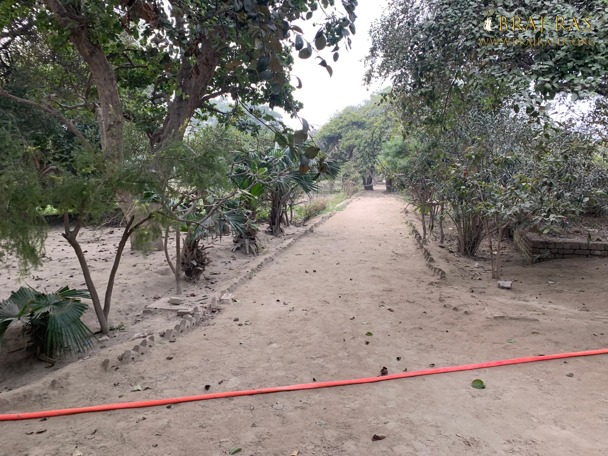 View of a beautiful path in Shri Lalita Bagh, Vrindavan.