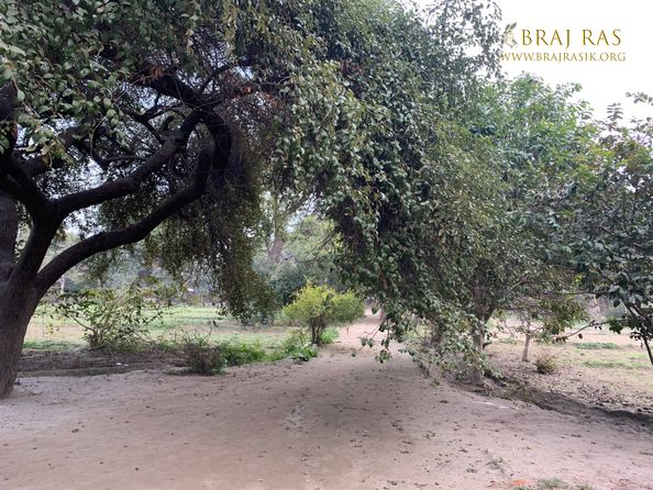 View of a beautiful footpath in Shri Lalita Bagh, Vrindavan.