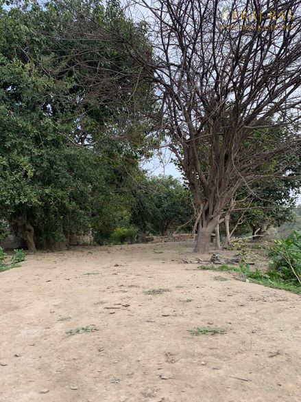 Portrait view of Shri Lalita Bagh, Vrindavan.
