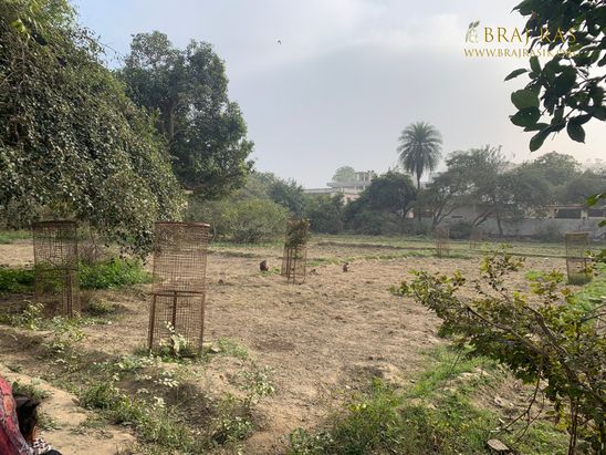 View of open fields inside Shri Lalita Bagh, Vrindavan.
