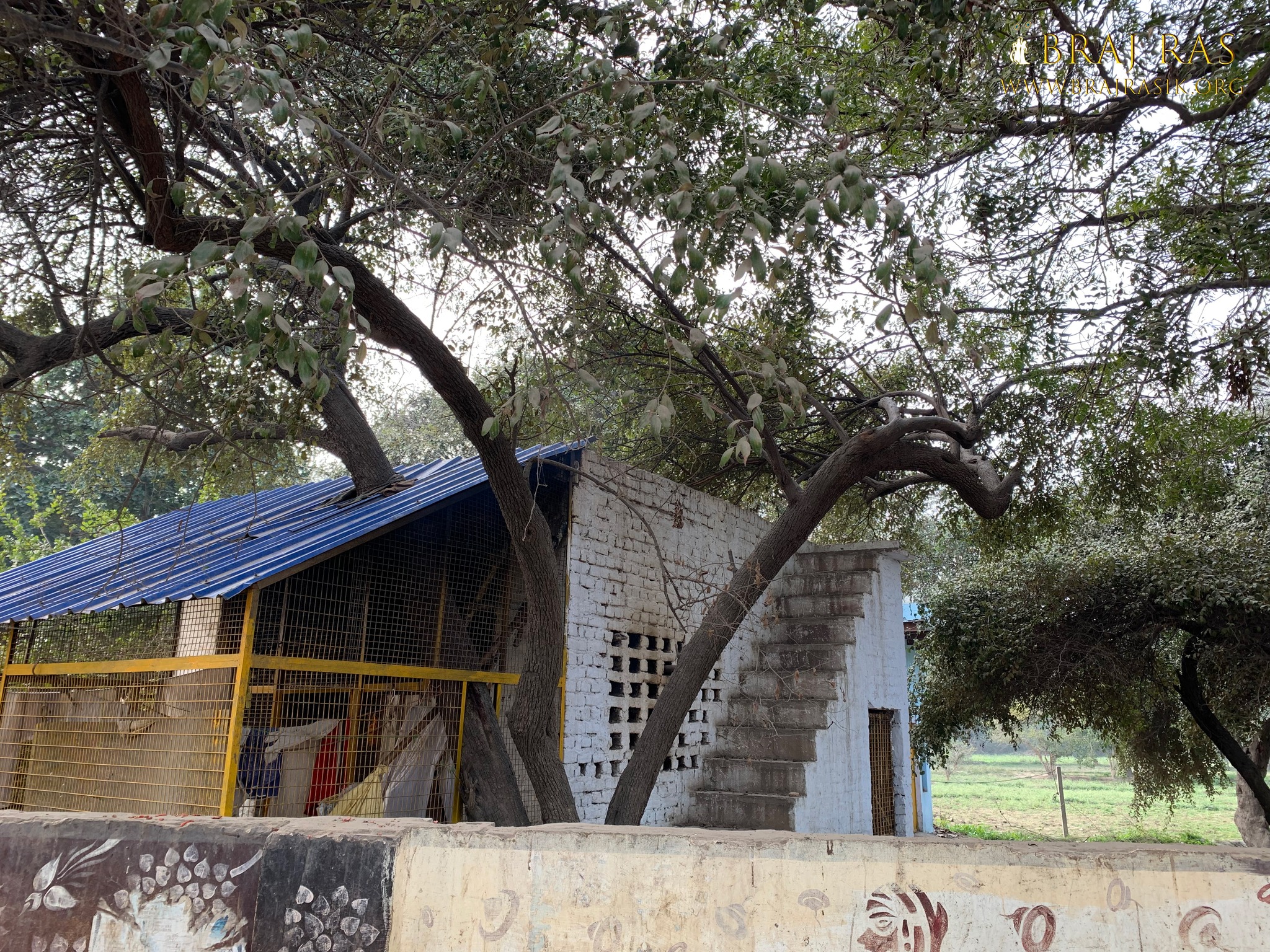 View of a kunj inside Shri Lalita Bagh, Vrindavan.