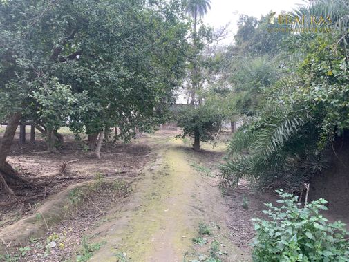 View of a nice path inside Shri Lalita Bagh, Vrindavan.