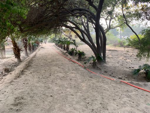 A great view of a path inside Shri Lalita Bagh, Vrindavan.