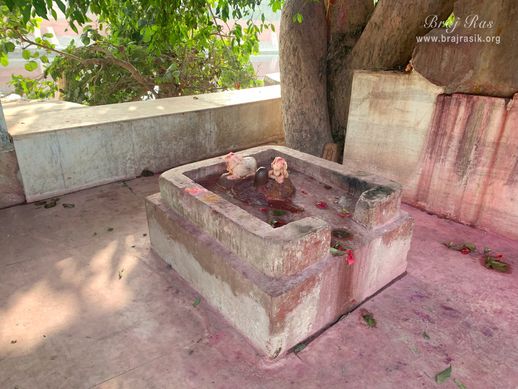 Darshan of a small Shiva Linga at Gulal Kund in Gantholi, Govardhan.